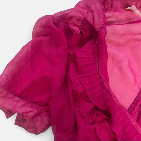 Vibrant Pink Sheer Ruffle Blouse - Picture 4 of 5